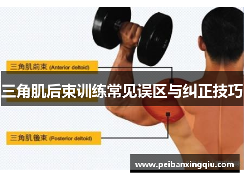 三角肌后束训练常见误区与纠正技巧
