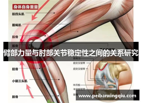 臂部力量与肘部关节稳定性之间的关系研究